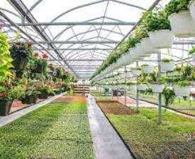 Certificate in Nursery Production Technician
