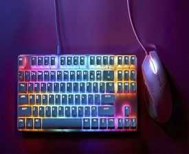 Certificate in Computer Typing Hindi