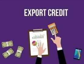 Certificate in Export Credit Guarantee Corporation (ECGC)