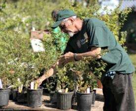 Certificate in Gardener