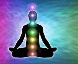 Certificate in Meditation