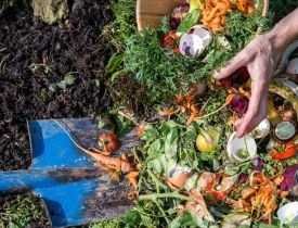 Certificate in Organic Waste Management