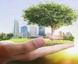 Diploma in Health Safety & Environment Management