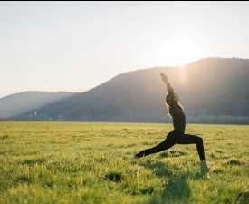 Diploma in Yoga & Nature care