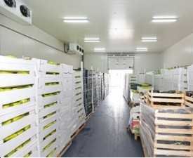 Diploma in Cold Storage Manager