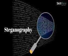 Diploma in Computer Application & Stenography