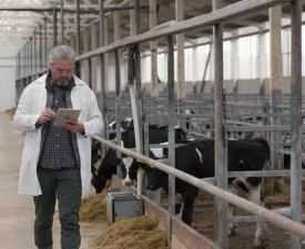 Certificate in Dairy Farm Supervision