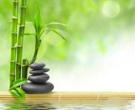 Diploma in Feng Shui