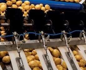 Certificate in Fruit & Vegetable Processing Technology