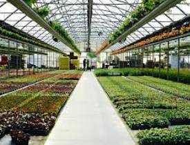 Certificate in Horticulture and landscaping Management
