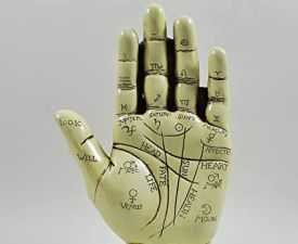 Diploma in Palmistry