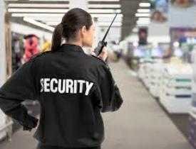 Diploma in Security Supervisor