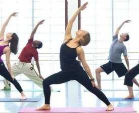 Diploma in Yoga Trainer