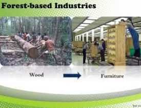 Certificate in Forest Based Industry