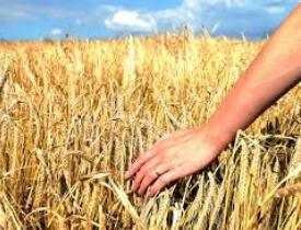 Certificate in Rural Development Planning and Administration