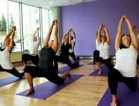 Certificate in Yoga Teachers Training